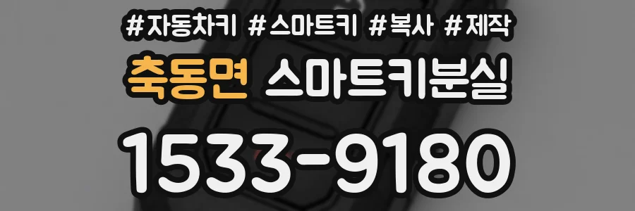 축동면 스마트키분실