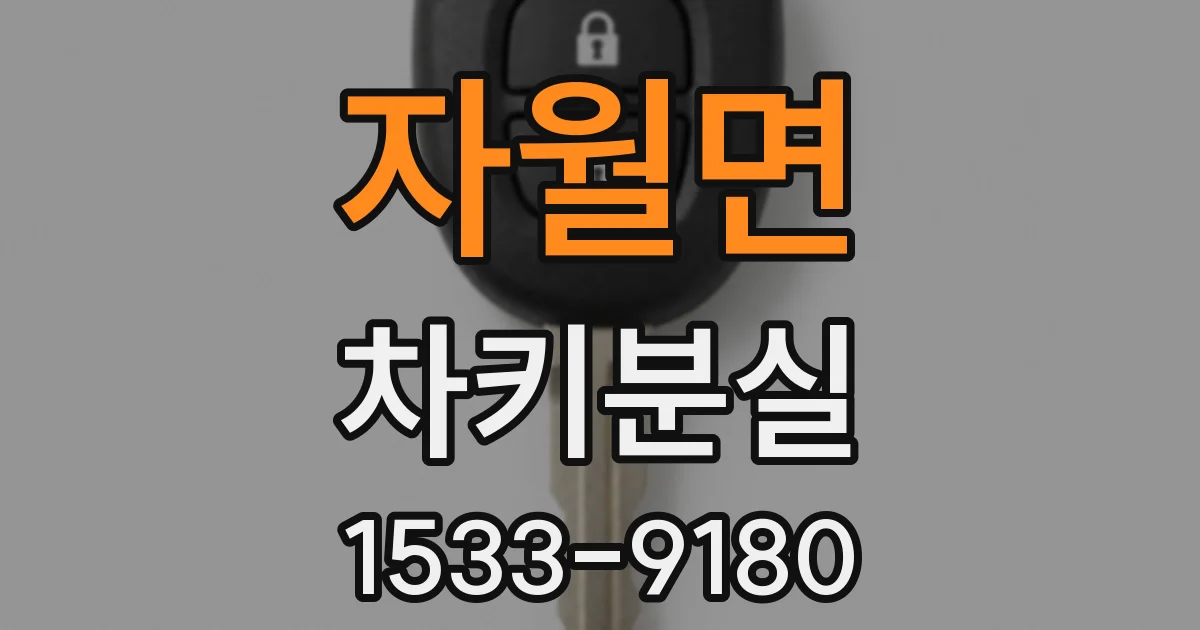 자월면 차키분실