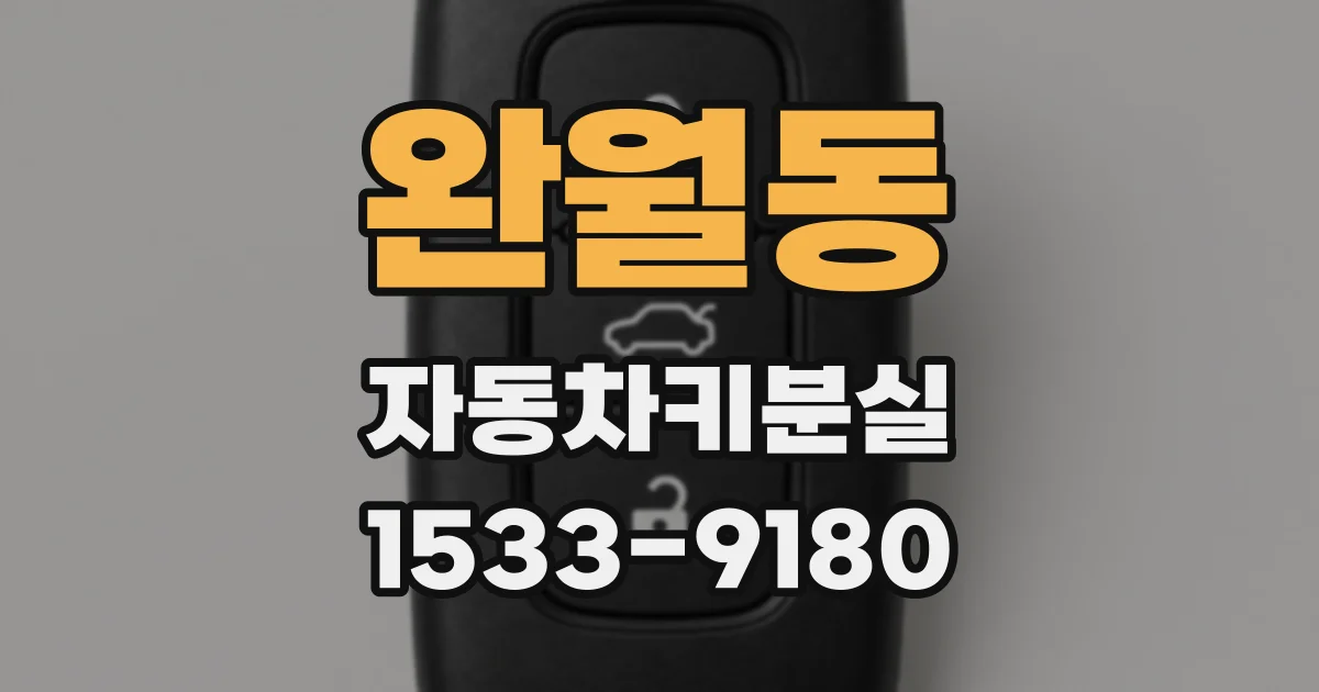 완월동 자동차키분실