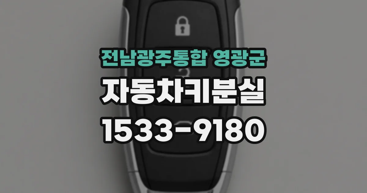 전남광주통합 영광군 자동차키분실