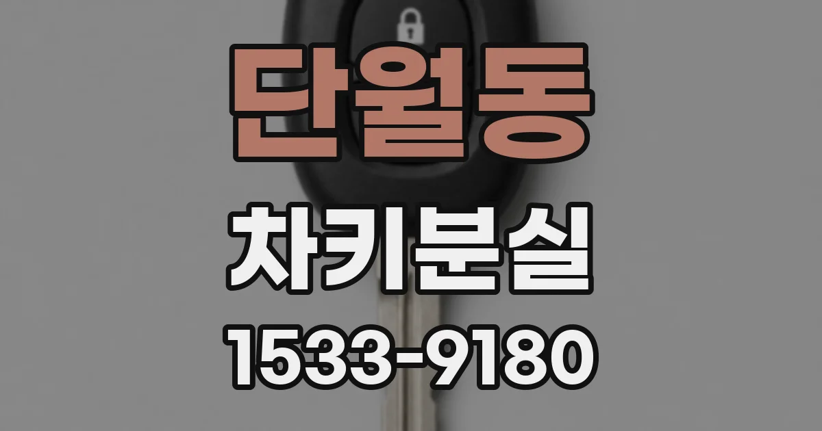 단월동 차키분실