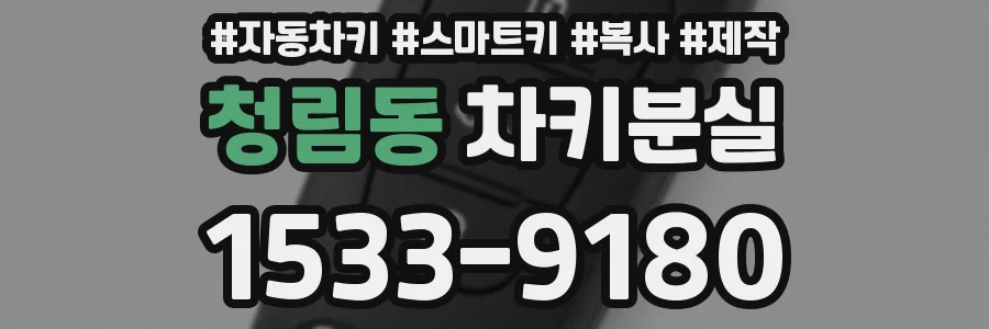 청림동 차키분실