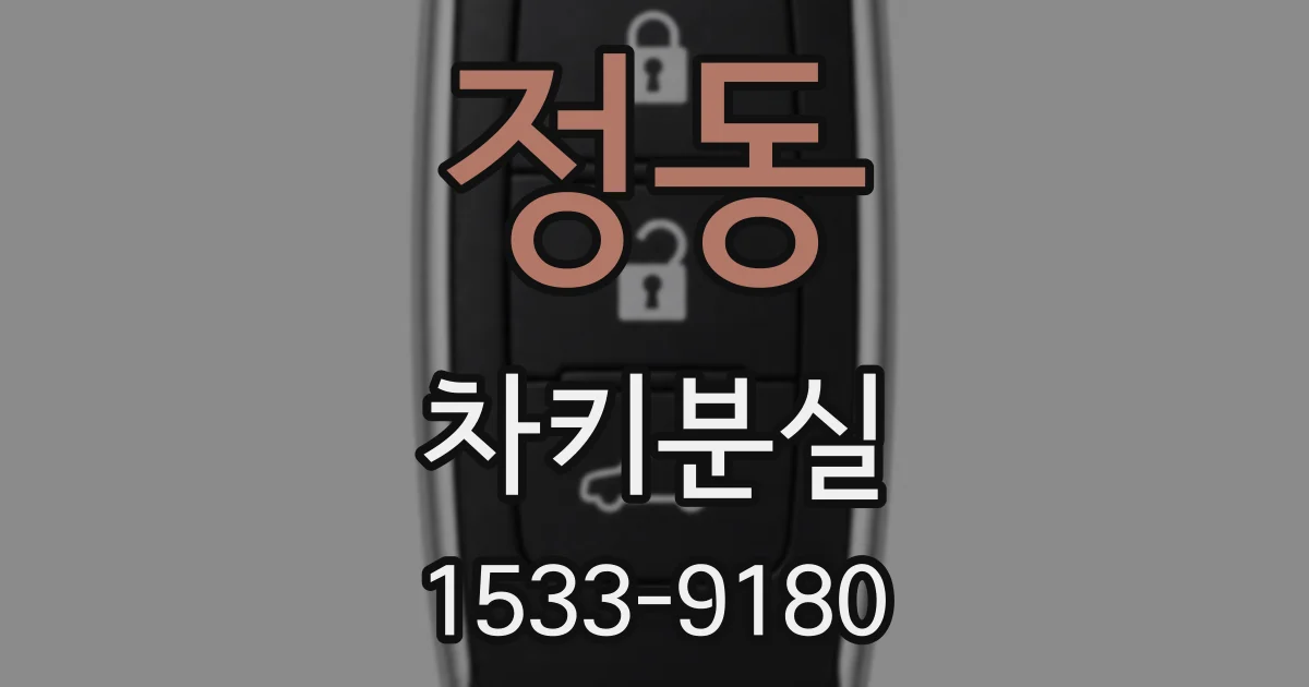 정동 차키분실