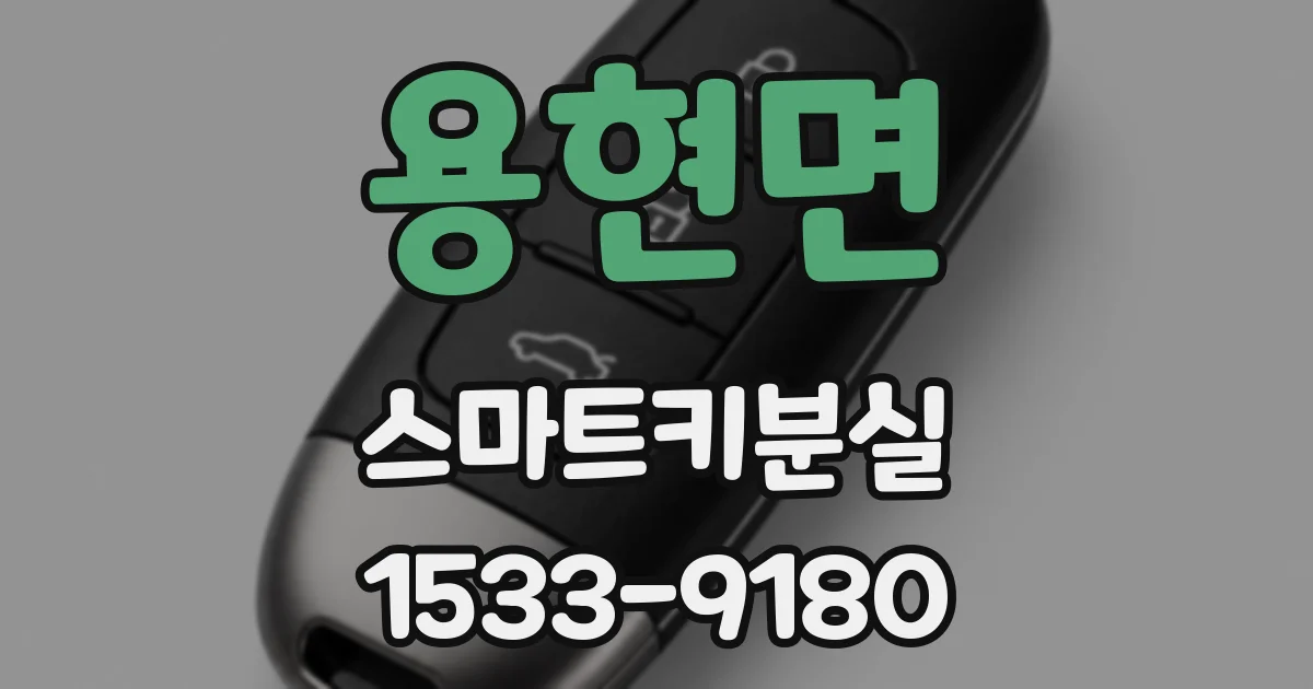용현면 스마트키분실