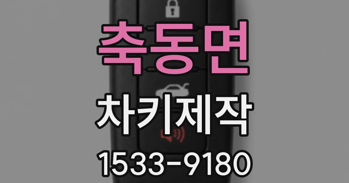 축동면 차키제작