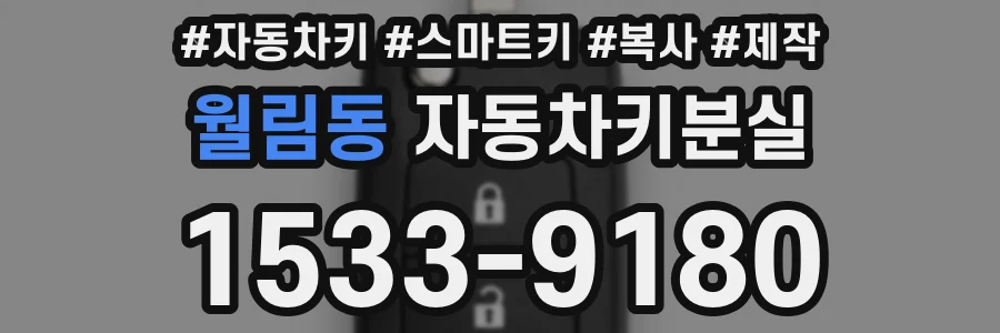 월림동 자동차키분실
