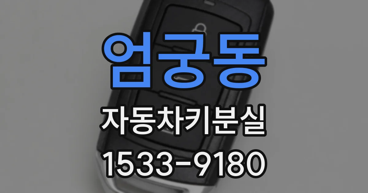 엄궁동 자동차키분실