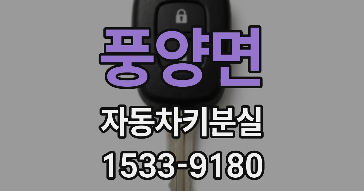 풍양면 자동차키분실