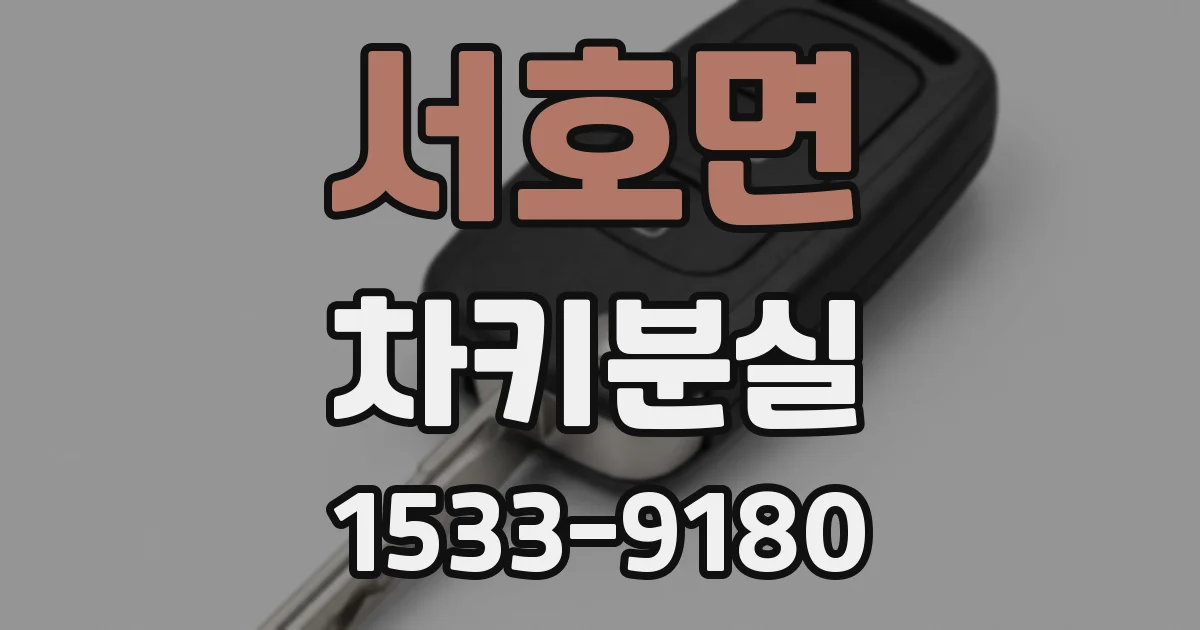 서호면 차키분실