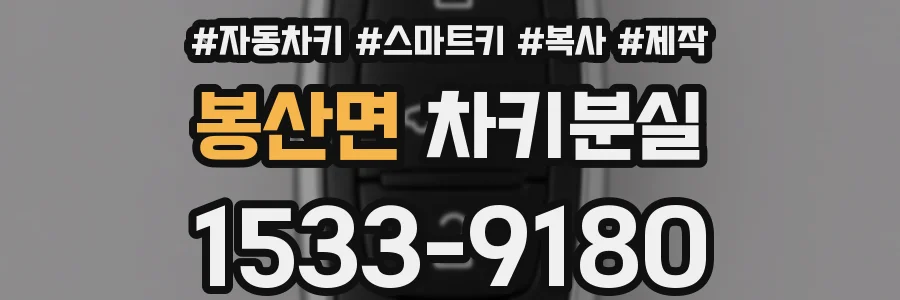 봉산면 차키분실