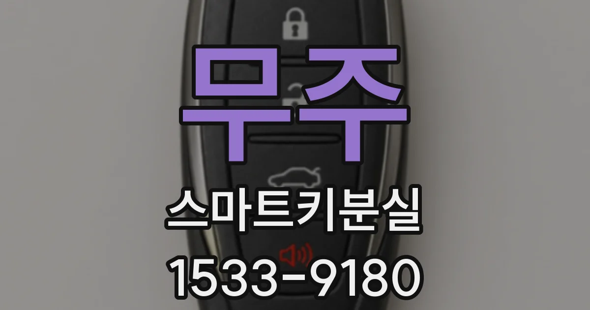 무주 스마트키분실