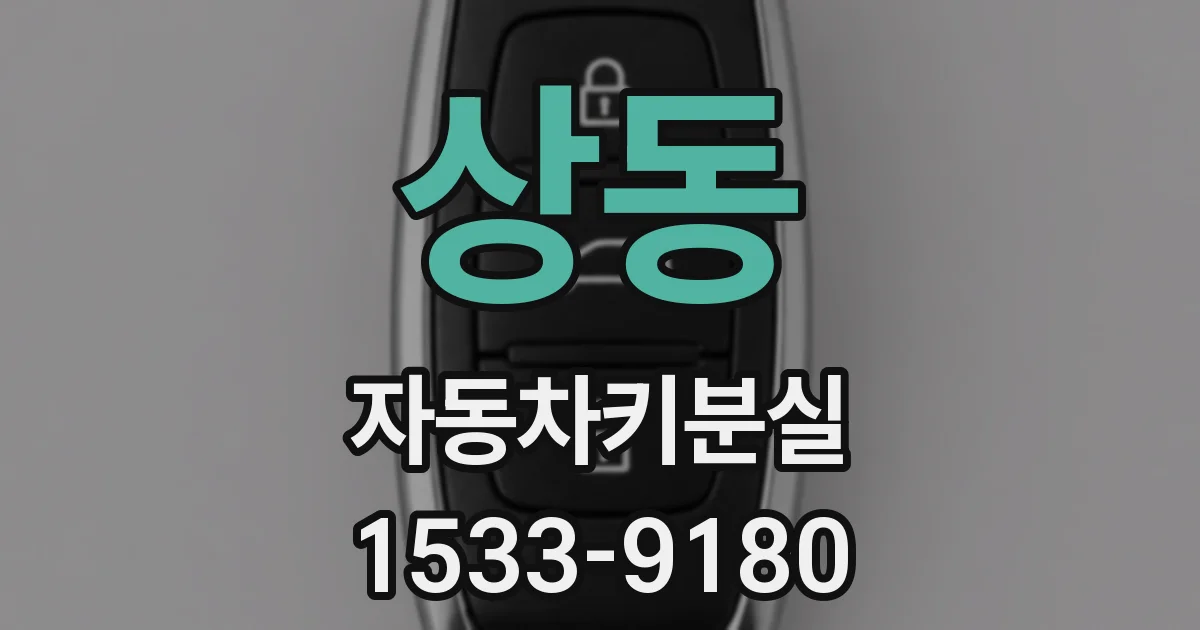 상동 자동차키분실