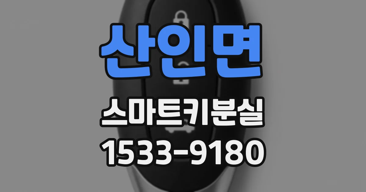산인면 스마트키분실