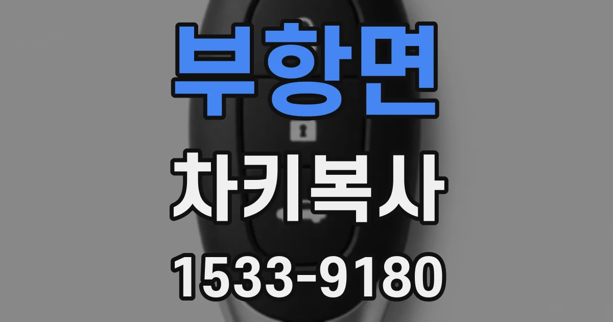 부항면 차키복사