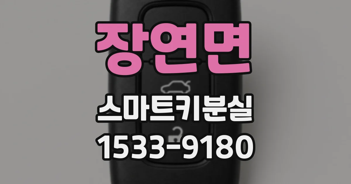 장연면 스마트키분실