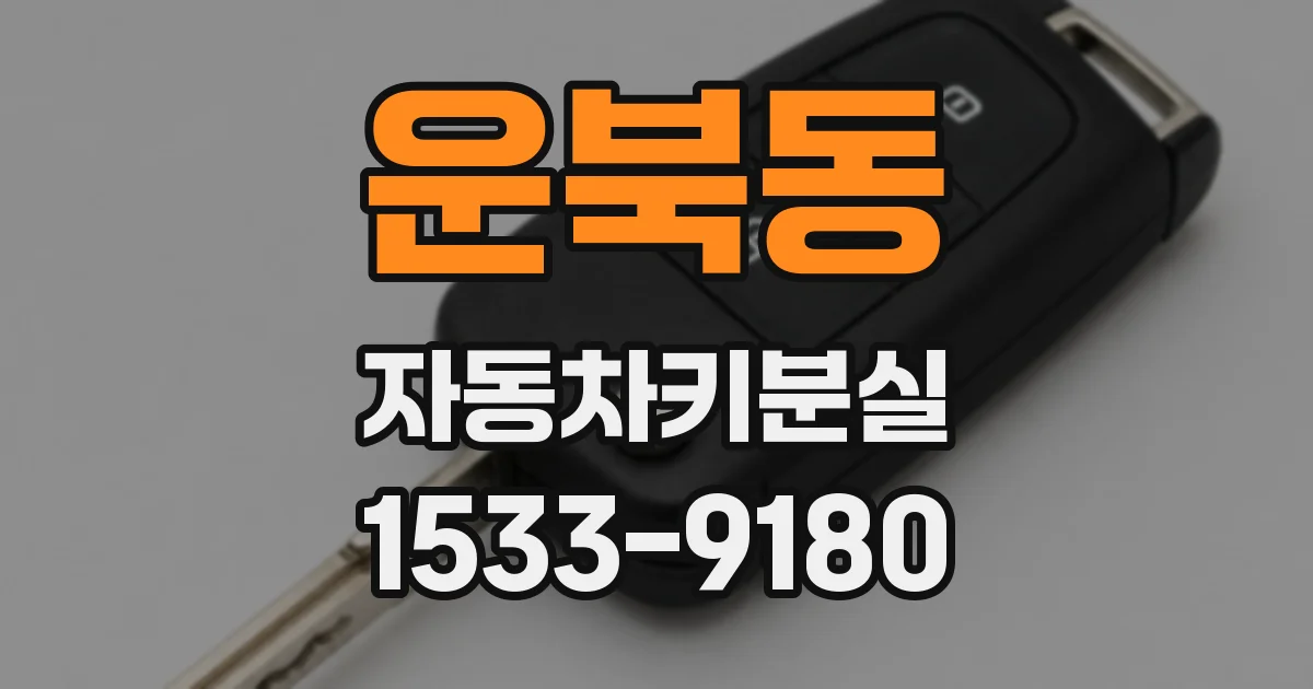 운북동 자동차키분실