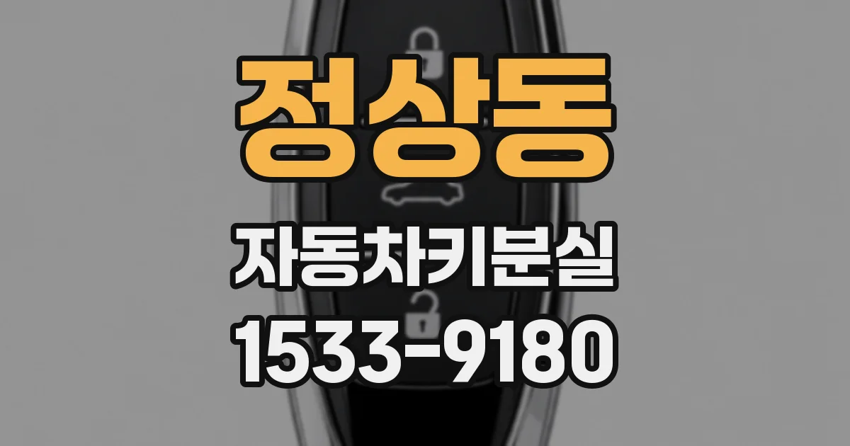 정상동 자동차키분실