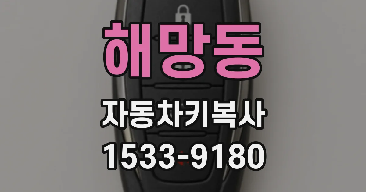 해망동 자동차키복사