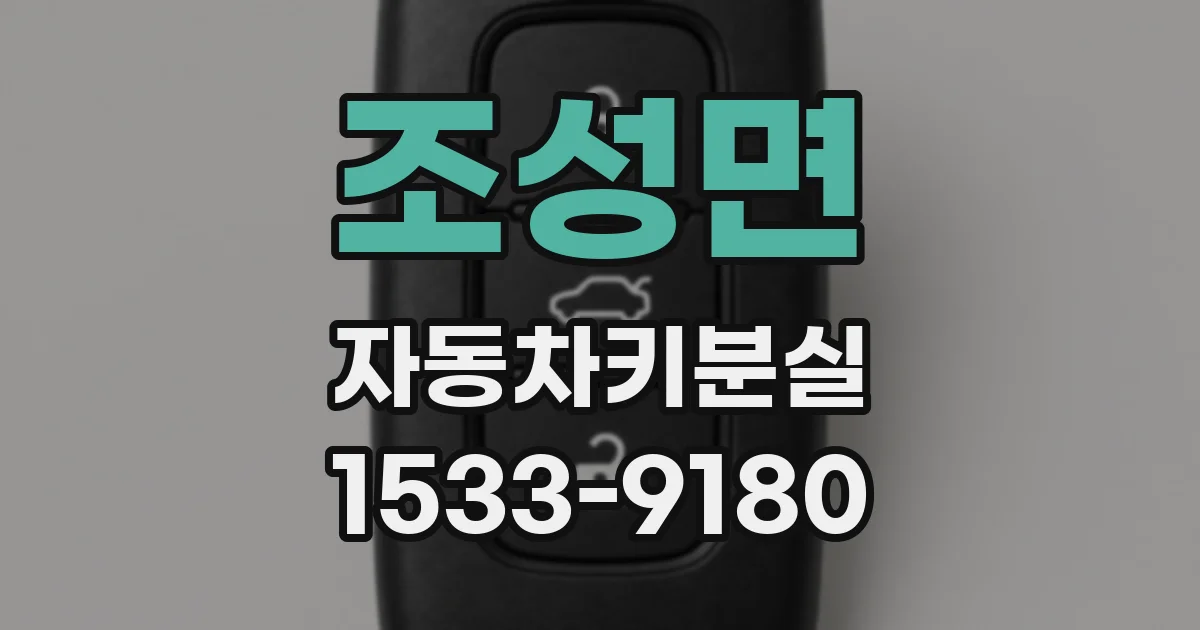 조성면 자동차키분실