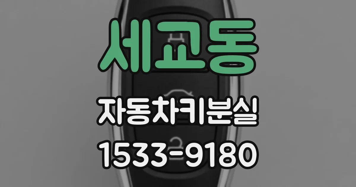 세교동 자동차키분실