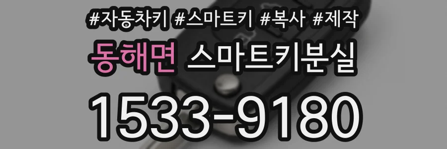 동해면 스마트키분실