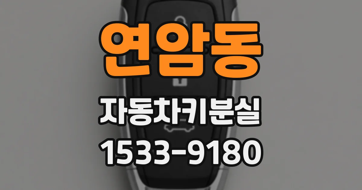 연암동 자동차키분실