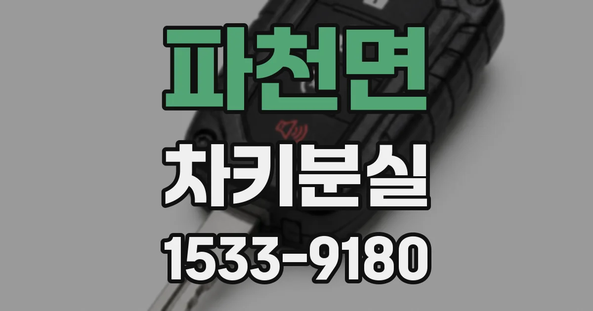 파천면 차키분실