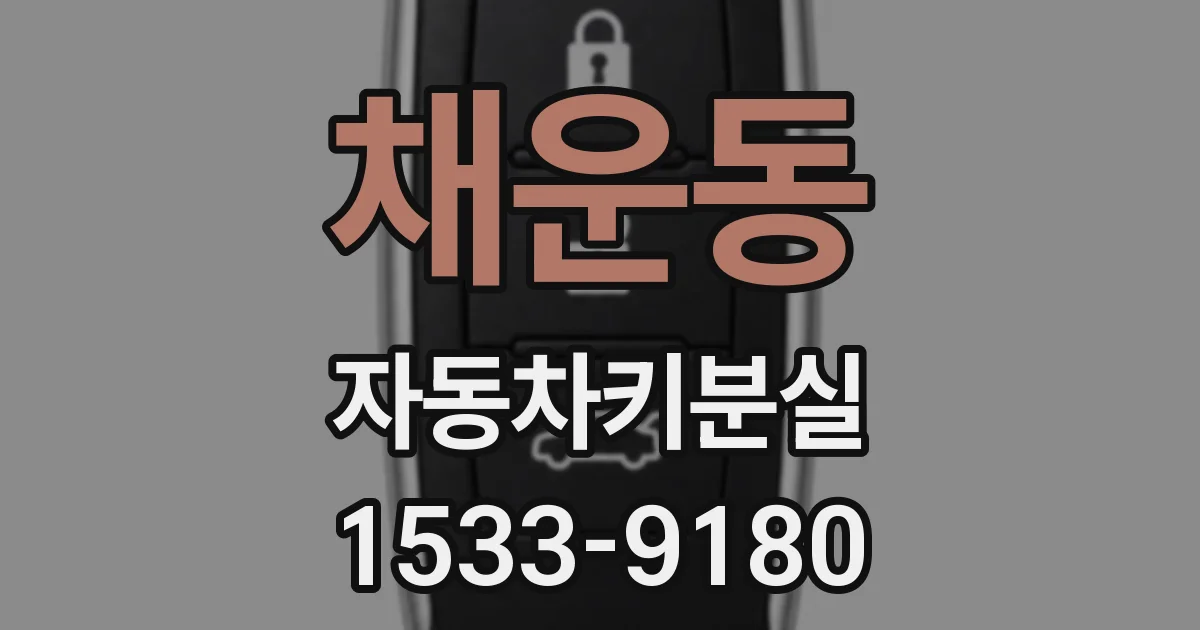 채운동 자동차키분실