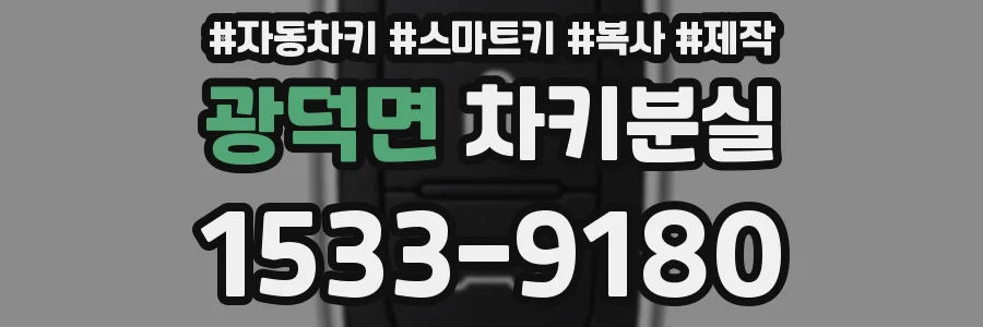 광덕면 차키분실