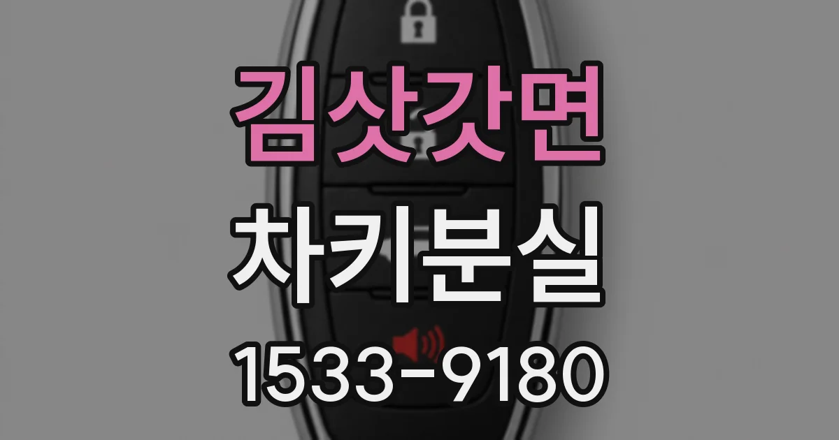 김삿갓면 차키분실