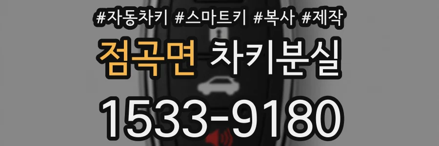 점곡면 차키분실