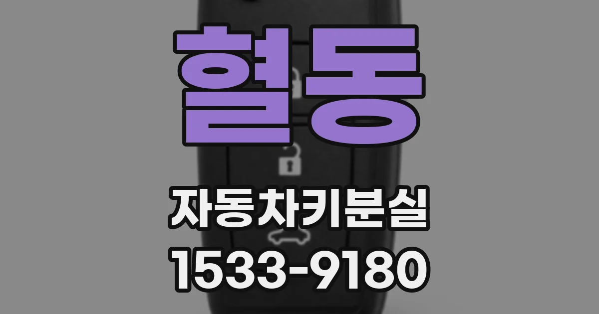 혈동 자동차키분실