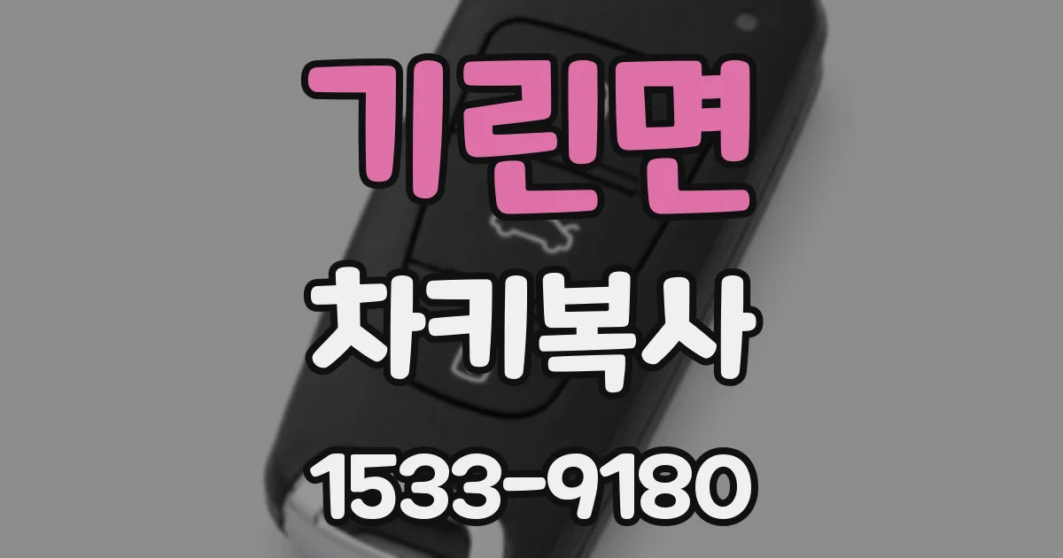 기린면 차키복사