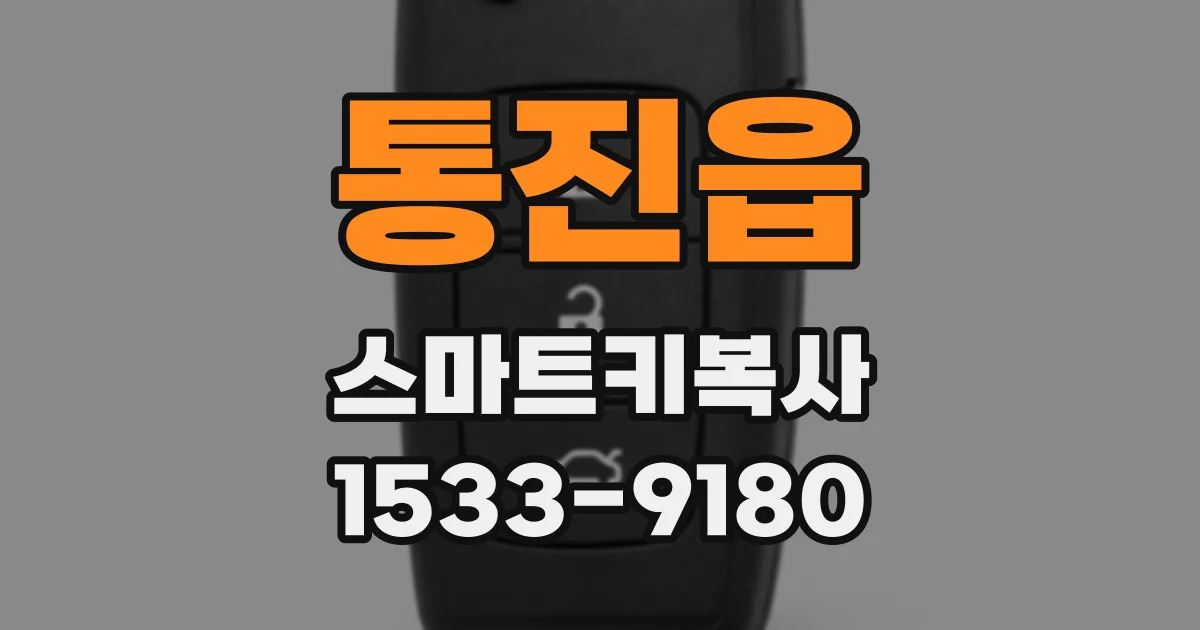 통진읍 스마트키복사