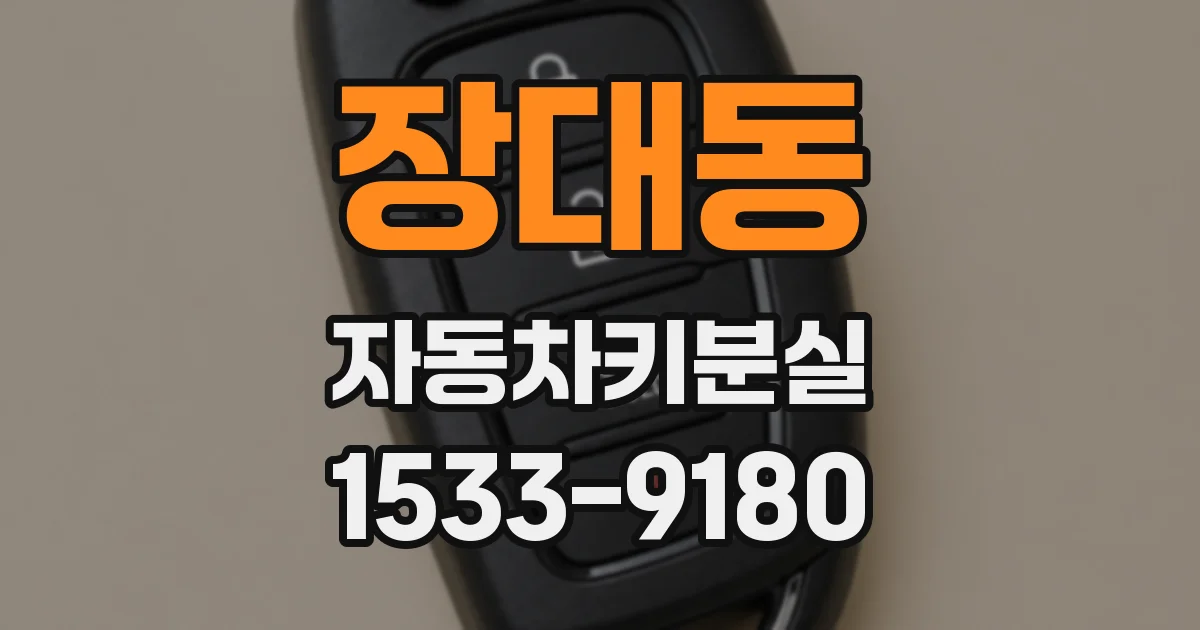장대동 자동차키분실