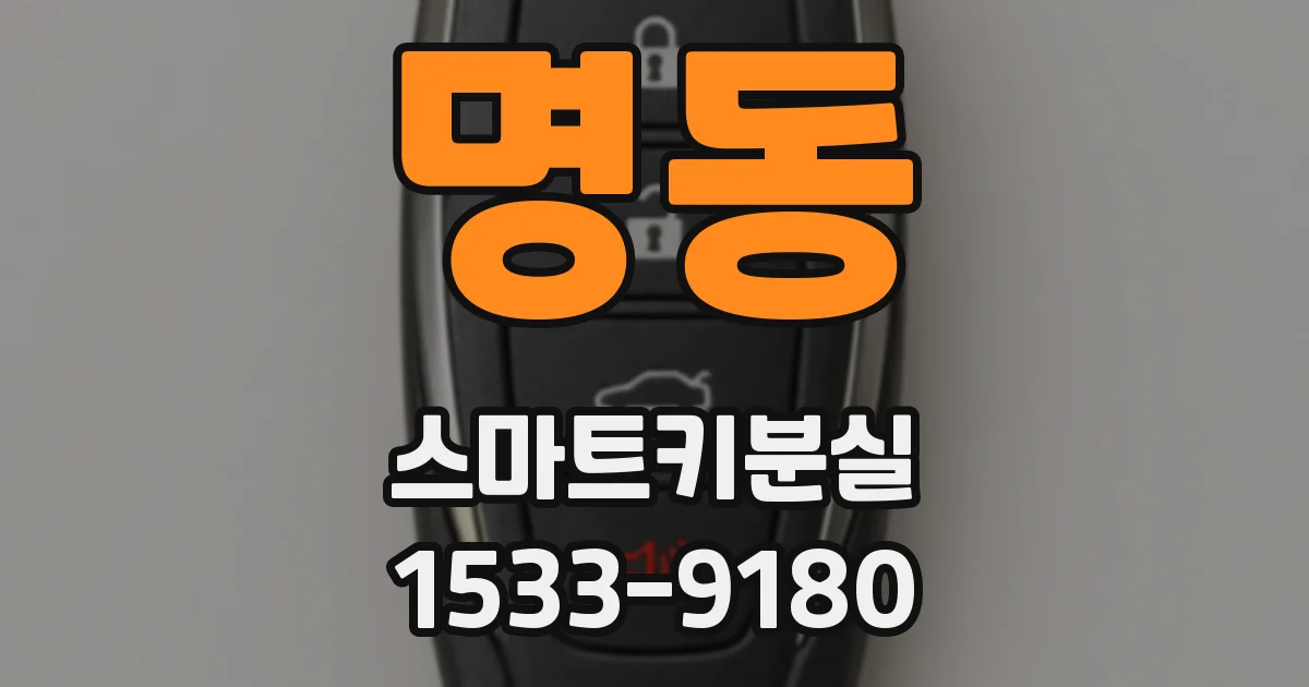 명동 스마트키분실