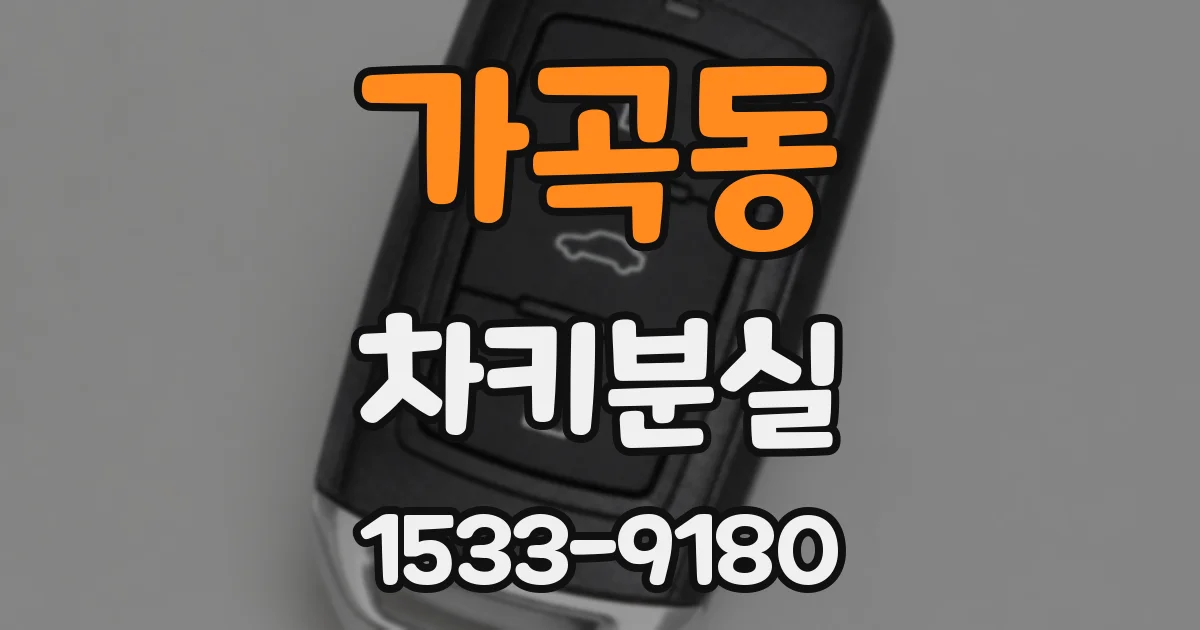 가곡동 차키분실