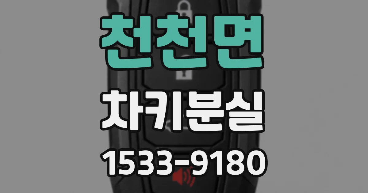 천천면 차키분실