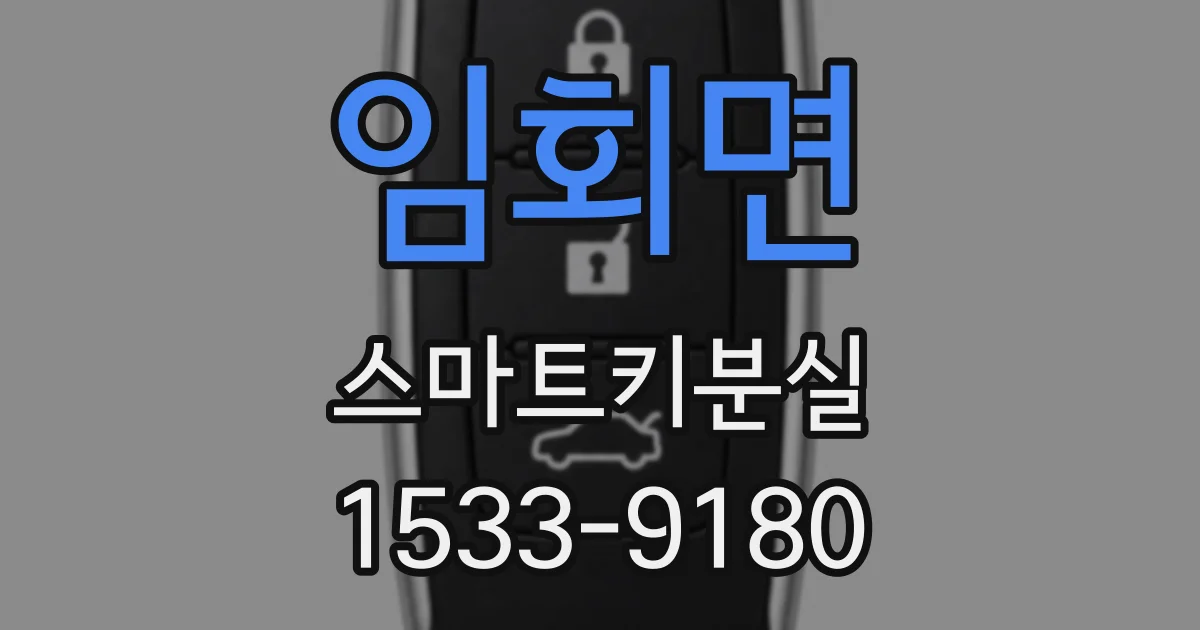 임회면 스마트키분실