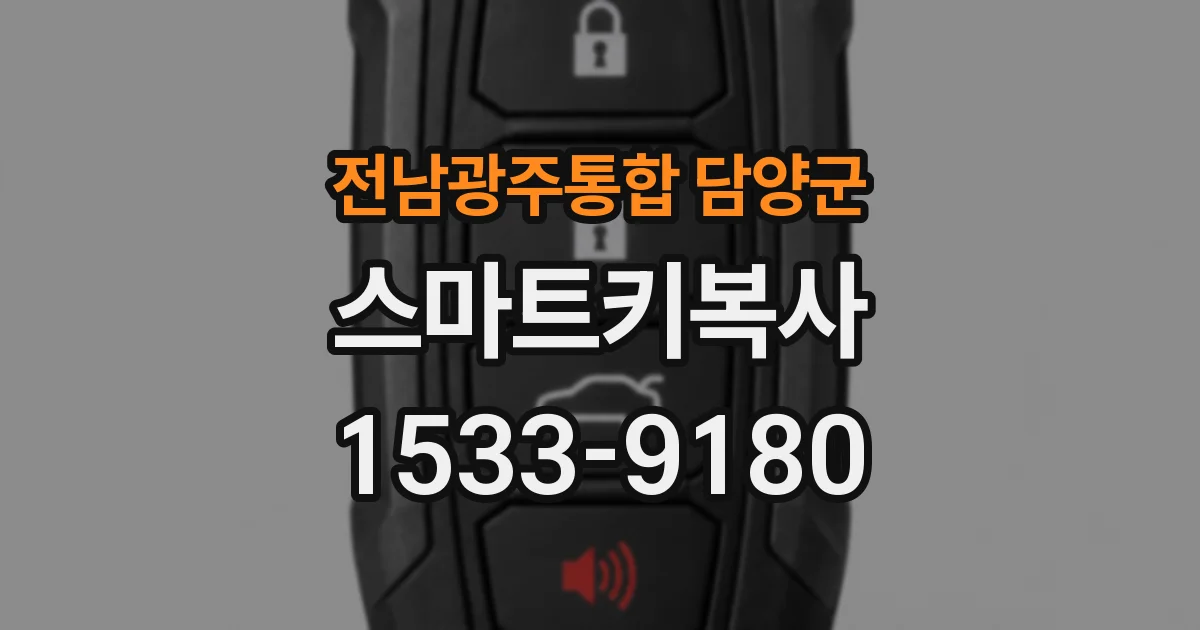 전남광주통합 담양군 스마트키복사