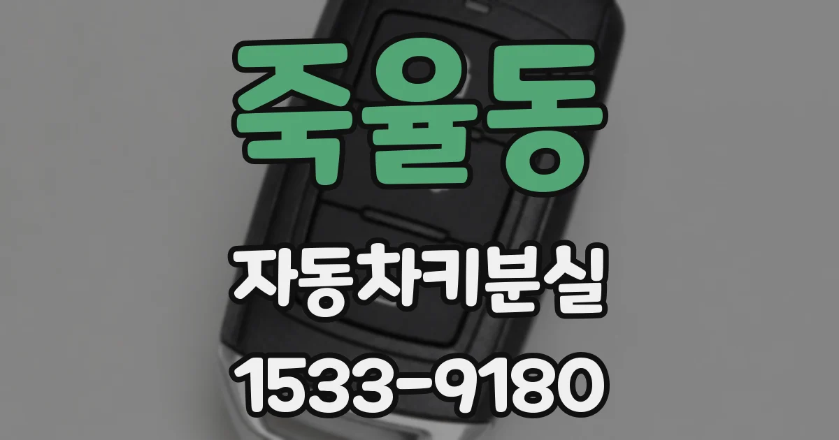 죽율동 자동차키분실