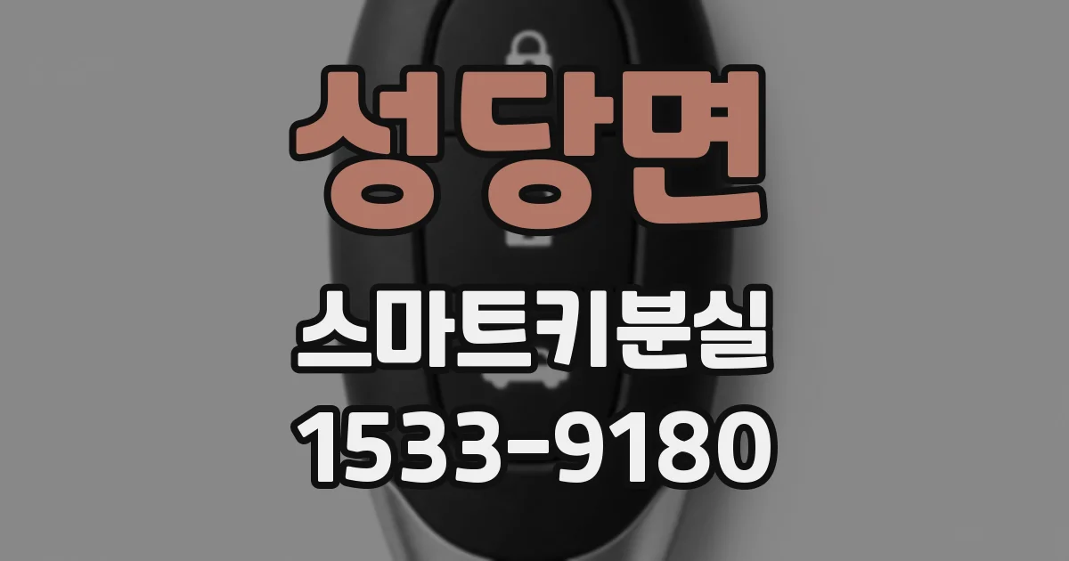 성당면 스마트키분실