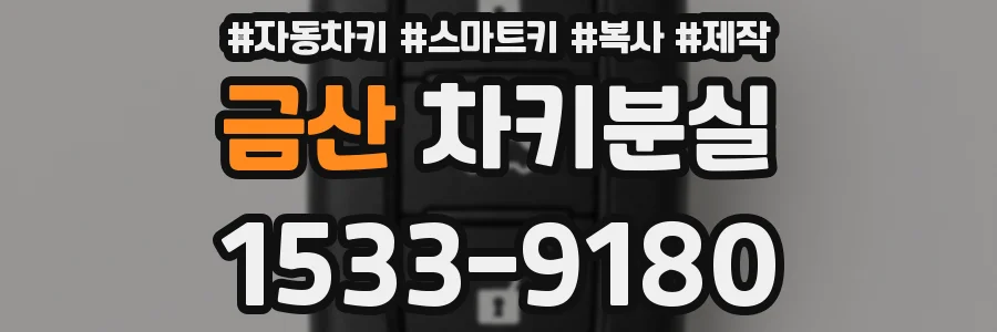 금산 차키분실