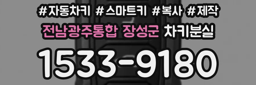 전남광주통합 장성군 차키분실