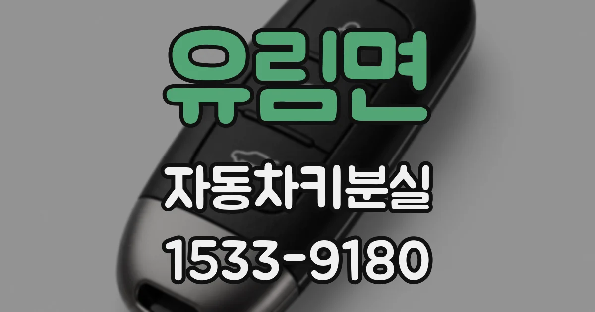 유림면 자동차키분실