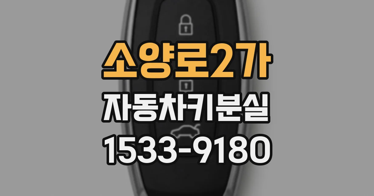 소양로2가 자동차키분실