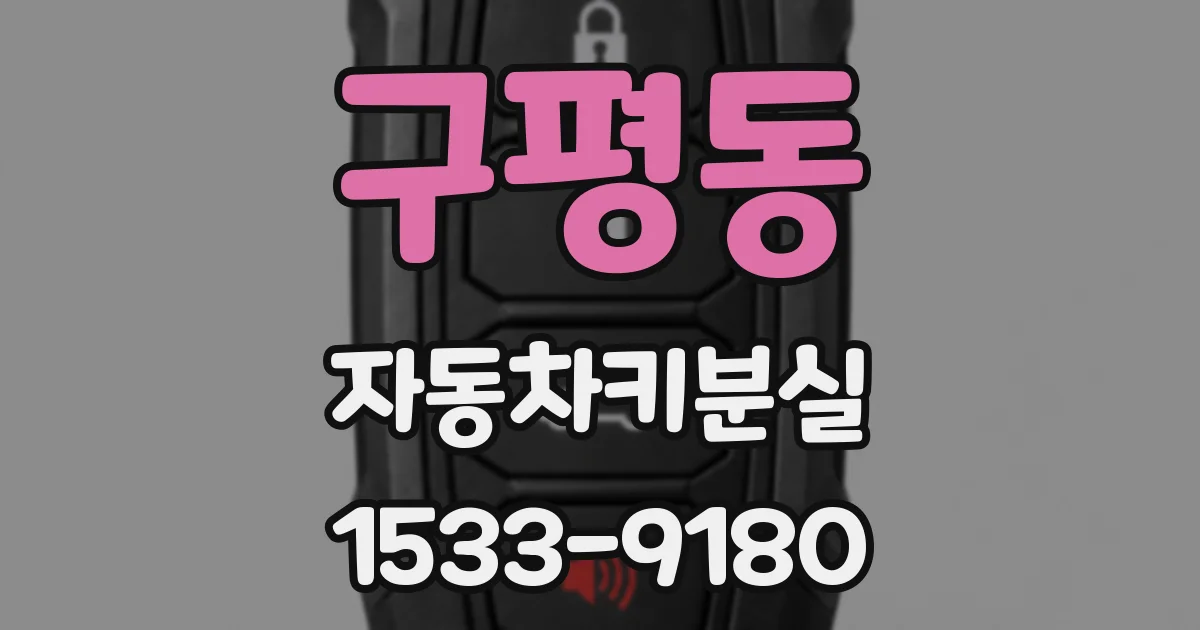 구평동 자동차키분실