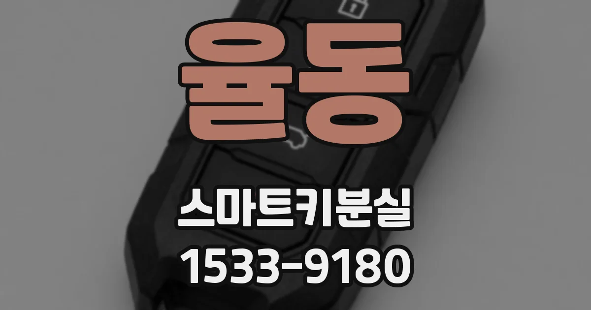 율동 스마트키분실