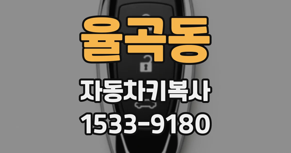 율곡동 자동차키복사