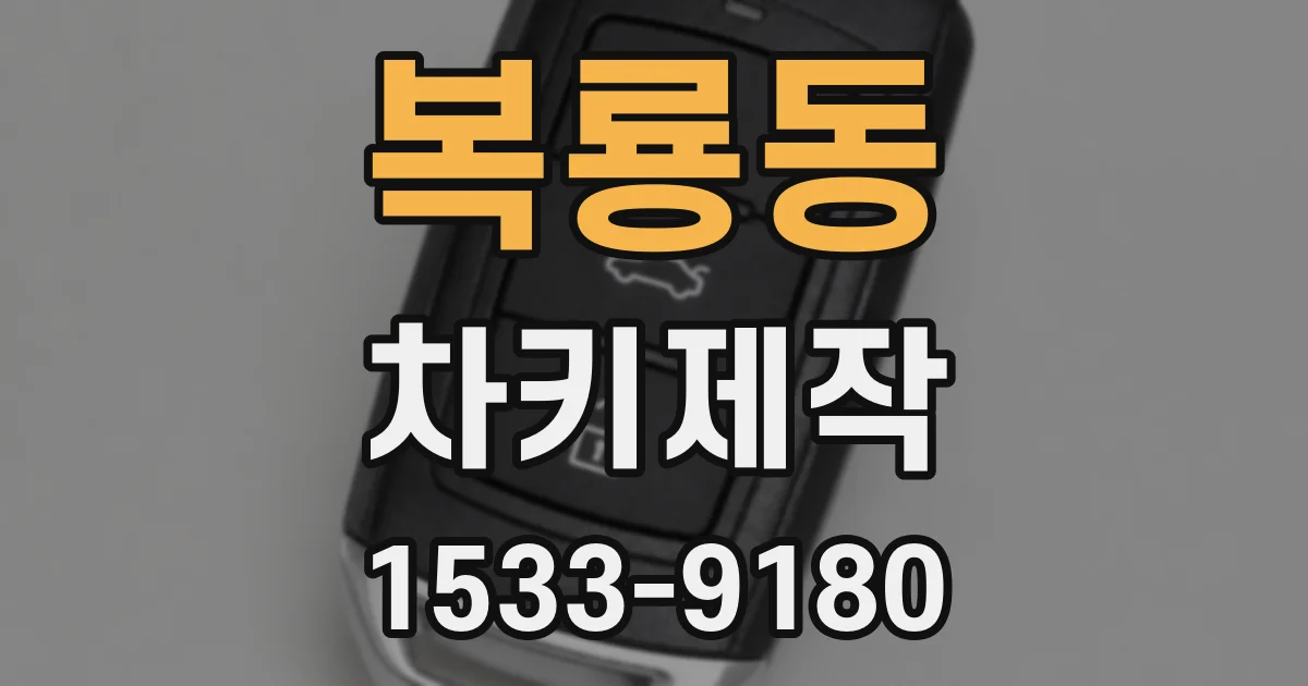 복룡동 차키제작